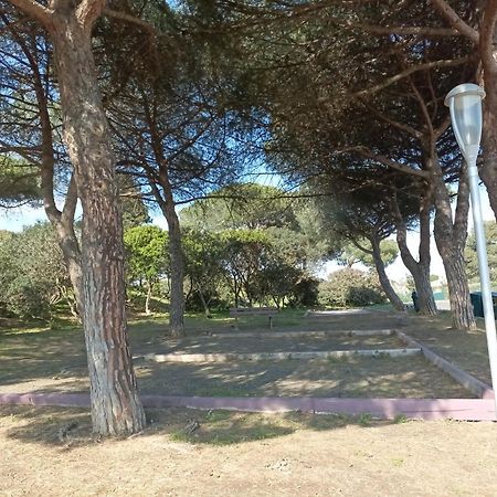 Lara 3 - T2 Loggia Piscine 2 Lits Doubles Parking Pres Du Centre-Port Et Ile Loisirs Apartment Agde Bagian luar foto